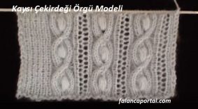 Kaysı Çekirdeği Örgü Modeli