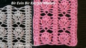 Bir Evin Bir Kızı Şal Modeli