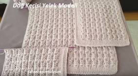 Dağ Keçisi Yelek Modeli