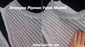 Örmeyen Pişman Yelek Modeli