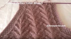 Sümbül Dalları Yelek Modeli