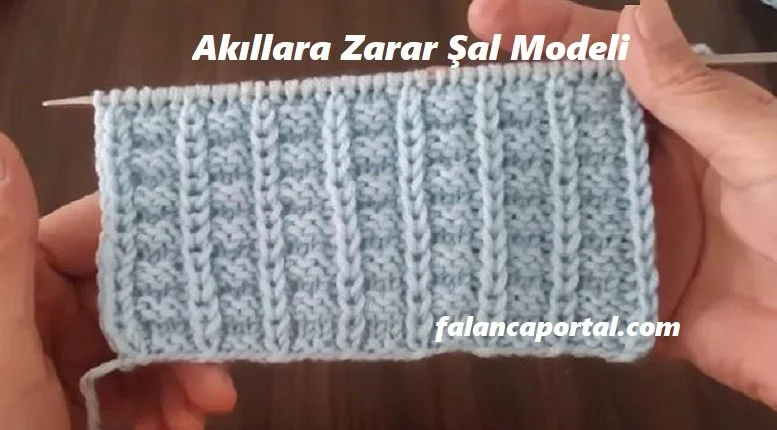 akılllara zarar sal modeli 1