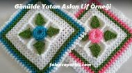 Gönülde Yatar Aslan Lif Örneği