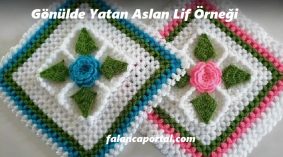 Gönülde Yatar Aslan Lif Örneği