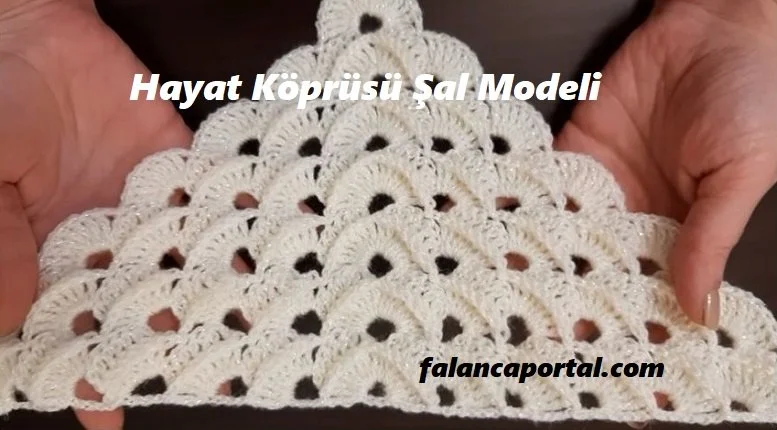 hayat koprusu sal modeli 1