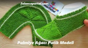 Palmiye Ağacı Patik Modeli