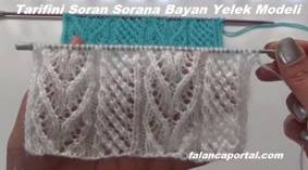 Tarifini Soran Sorana Bayan Yelek Modeli