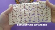 Tükürük Otu Şal Modeli