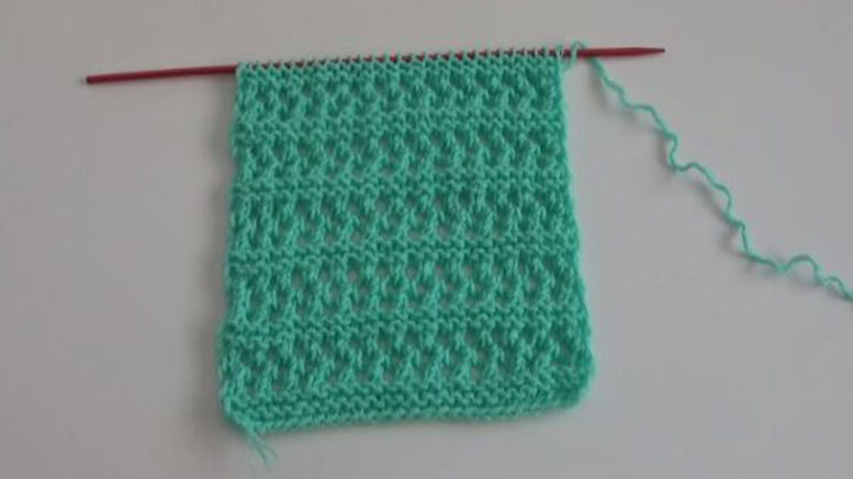 Şala Bereye En Cilveli Yelek Modeli