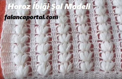 horoz ibigi sal modeli 1