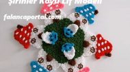 Şirinler Köyü Lif Modeli