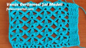 Venüs Gerilemesi Şal Modeli