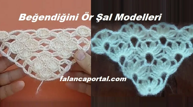 begendigini or sal modelleri 1