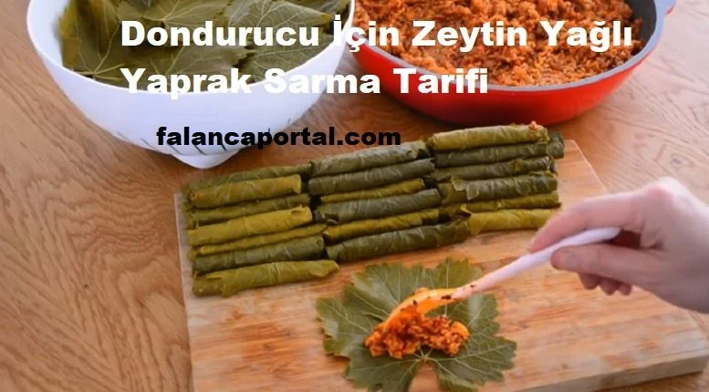 dondurucu icin zeytin yagli yaprak sarma tarifi 1