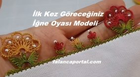 İlk Kez Göreceğiniz İğne Oyası Modeli