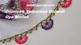 Örümcek Yelpazeye Dolandı Tığ İşi Oya Modeli