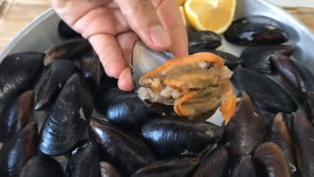 Saniyede Hazır Midye Dolma Tarifi