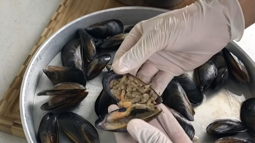 Saniyede Hazır Midye Dolma Tarifi 2