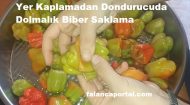 Yer Kaplamadan Dondurucuda Dolmalık Biber Saklama