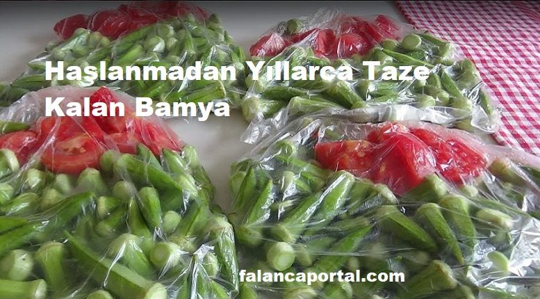 Kışlık Yıllarca Taze Kalan Bamya Tarifi