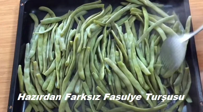 hazirdan farksiz fasulye tursusu 1