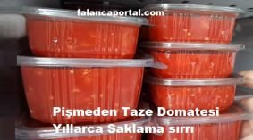 Pişmeden Taze Domatesi Yıllarca Saklama sırrı