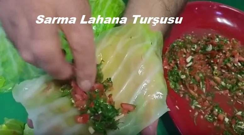 sarma lahana tursusu 1