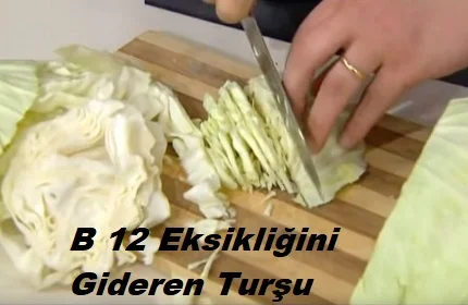 B 12 eksikligini gideren tursu 1