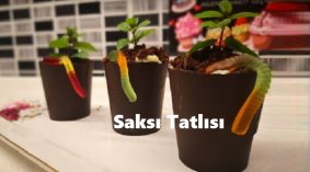 Herkesin İlgisini Çekecek Çikolatalı Saksı Tatlısı