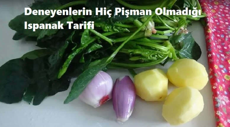 deneyenlerin hic pisman olmadigi ispanak tarifi 1