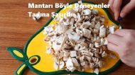 Mantarı Böyle Deneyenler Tadına Şaşırdı