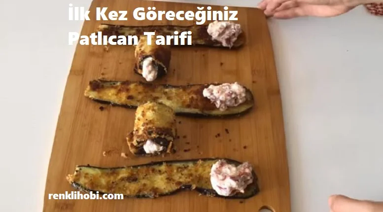 ilk kez goreceginiz patlican tarifi 1