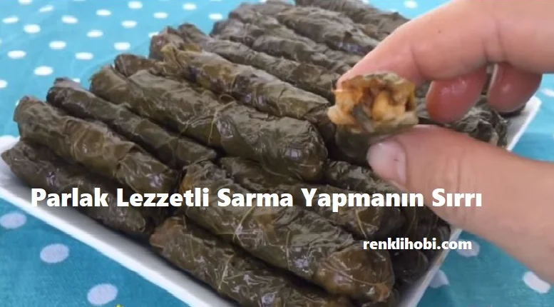 parlak lezzetli sarma yapmanin sirri 1