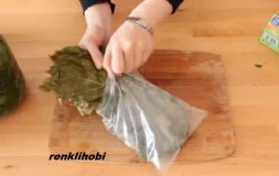 Tuzlu Tuzsuz Farklı Yöntemli Kışlık Yaprak Tarifi