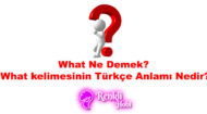 What Ne Demek? Türkçe Anlamı Nedir?