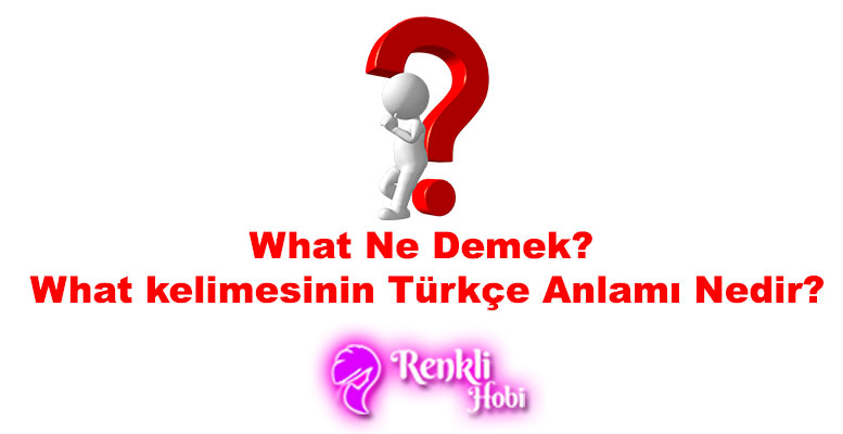What Ne Demek? Türkçe Anlamı Nedir?