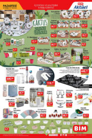bim aktuel 24 mayis 2021 katalogu sayfa 2