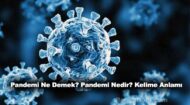 Pandemi Ne Demek? Pandemi Nedir? Kelime Anlamı