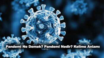 Pandemi Ne Demek? Pandemi Nedir? Kelime Anlamı