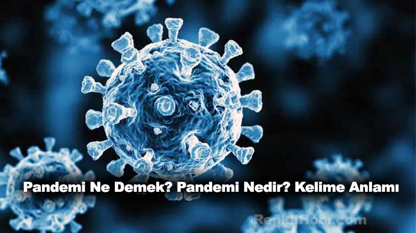 pandemi ne demek pandemi nedir kelime anlami renklihobi 1