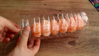 Pet Şişe Ve Mandalinadan İlginç Pişmeyen Pasta Tarifi