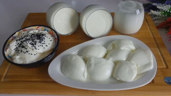 Sırrı 1 Kaşık Malzemeden Taş Gibi Yoğurt Mayalama Yöntemi