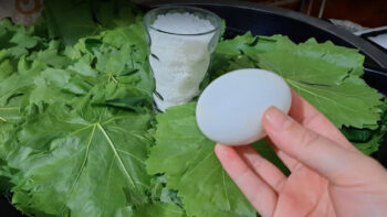 Yumurta İle Annelerin Kışlık Yaprak Tarifi