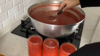 Kilolarca Yapılsa Bile Yetmeyen Şifalı Domates Tarifi