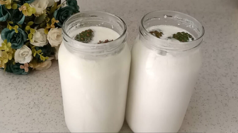 Sütün İçine Çam Kozalağı Atın Sonuca Şaşıracaksınız 2