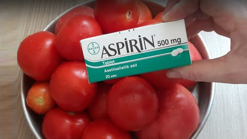Aspirin İle Mucize Gibi Konserve Domates Tarifi 1
