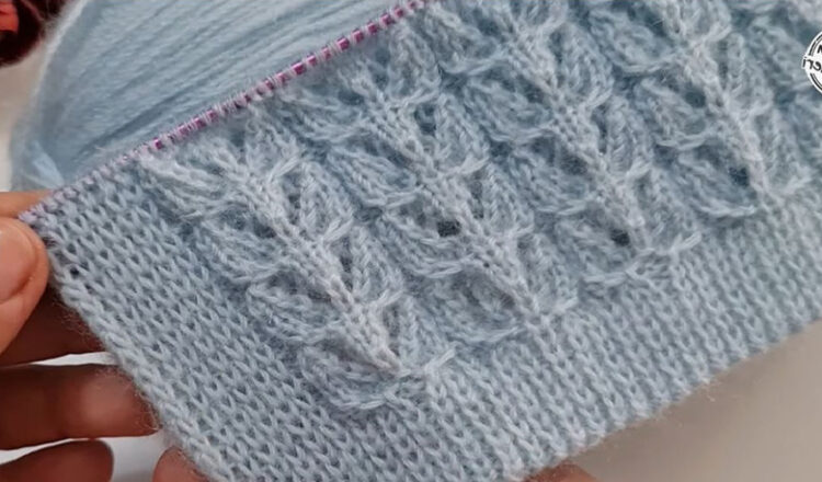 Çok Gösterişli 2 Şiş İle 2024 Yelek Modeli