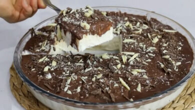 biskuvi kullanmadan cok farkli pasta tarifi 1