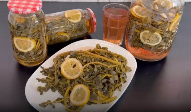 Vitamin Ve Mineral Deposu Suyu İçilen Kışlık Semizotu Tarifi