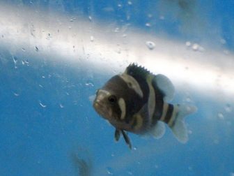 Beijing Aquarium 5